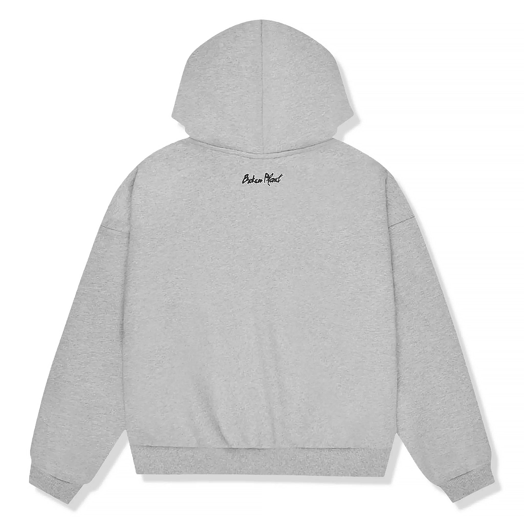 Back view of Front view of Broken Planet Sun Heather Grey Zip-Up Hoodie